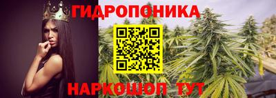 ALPHA PVP Пыть-Ях
