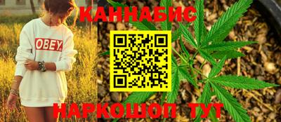гидропоника Пугачёв