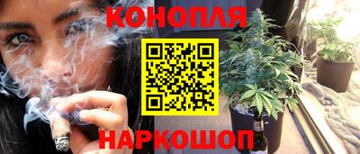 гидропоника Пугачёв