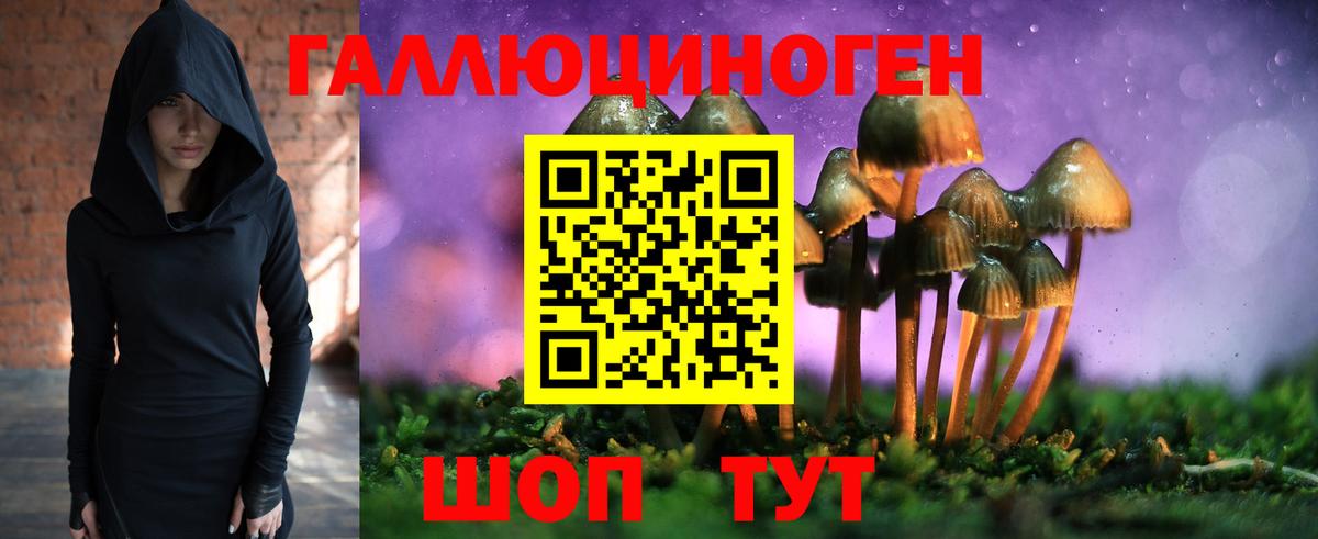 Северск  закладка  Вход с VPN  Псилоцибиновые грибы MAGIC MUSHROOMS 